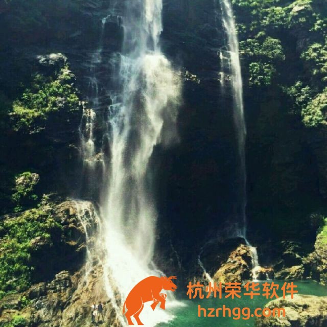 2025年澳門天天開好彩生肖號碼