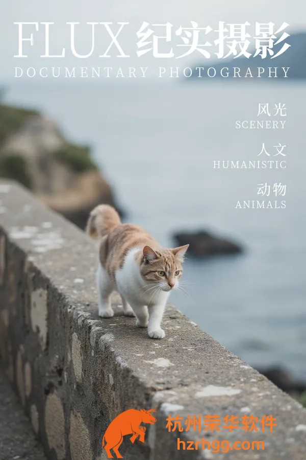 澳門天天免費精準大全