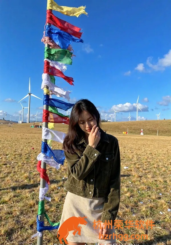 熱搜推薦:四不像正版資料2025全套匯總與投注技巧